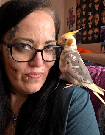 Hand Reared Tame Male & Female Cockatiel Pair For Sale,