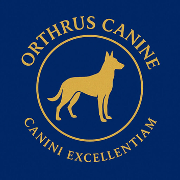 Dog walking and training available