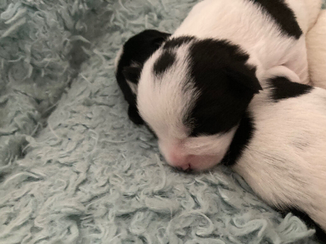 1 male available due to time wasters