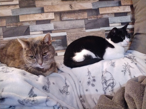 Two female seniors