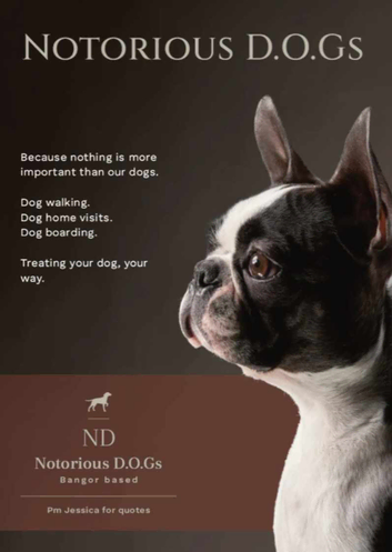 NOTORIOUS D.O.Gs Dog Walking and Pet-sitting Service