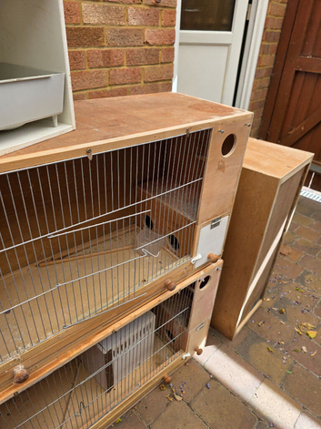 Budgie Breeding Cages