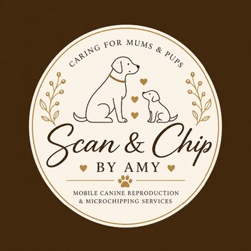 Kittens & Puppies Microchipping
