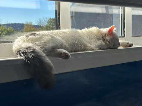 Beautiful boy