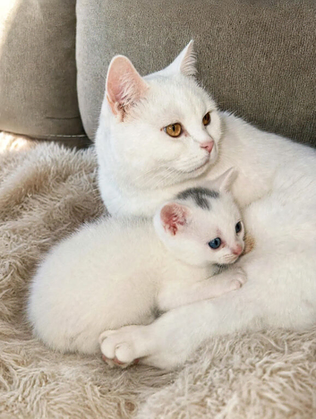 Last baby boy with stunning eyes