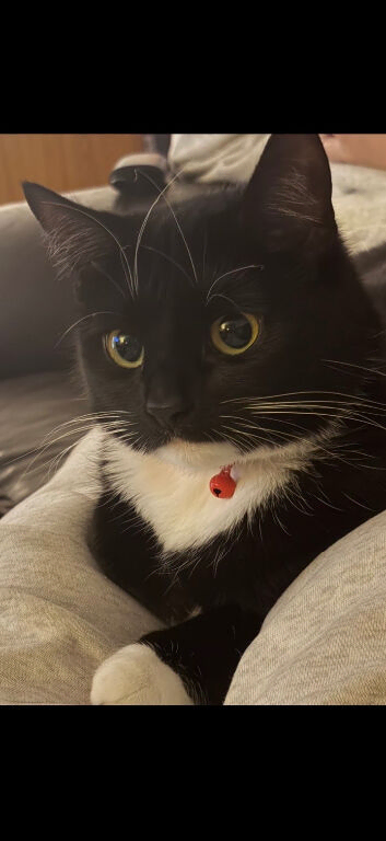 Luna