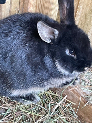 Beautiful girl