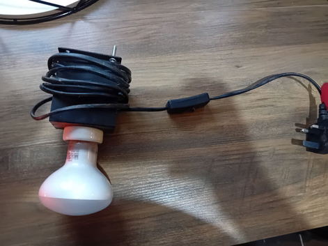 Heatlamp