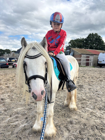 Super safe family friend / show pony