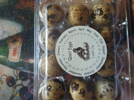 Quails eggs