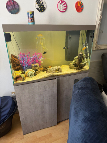 Large 210L fish tank
