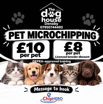 Dog & Cat Microchipping - The Dog House Denaby