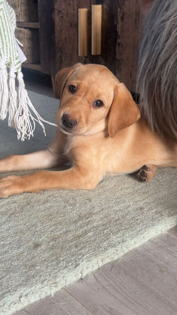 Only 1 gorgeous girl left ready to leave now