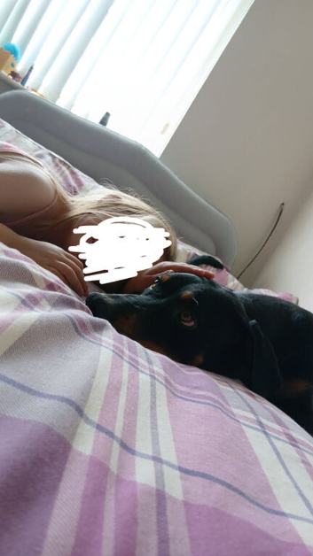 8 month old doberman