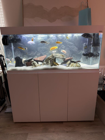 240ltr aquarium/cabinet