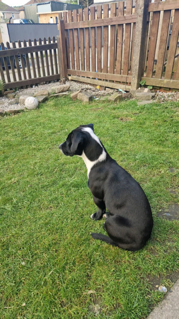 11 month old girl