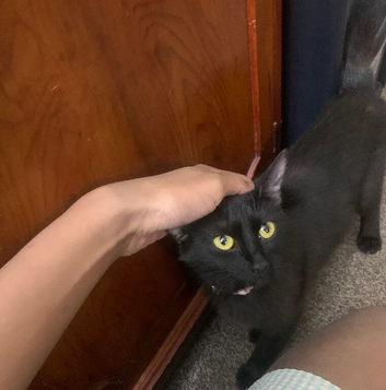 girl 1 year old
