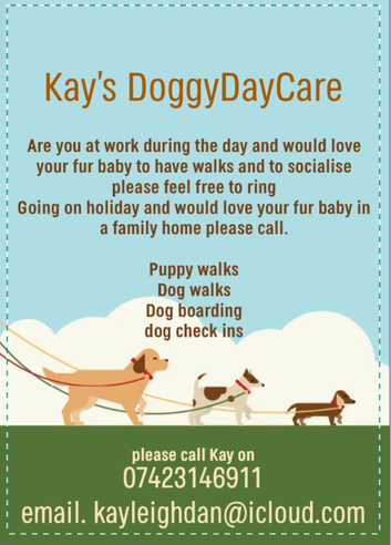 kay's doggy daycare