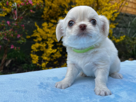 ALL BABIES ARE REHOMED
