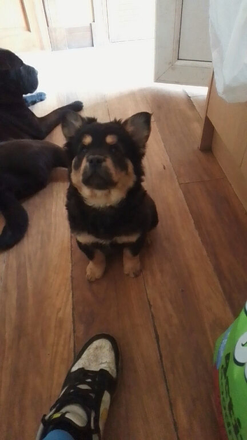 Zeus