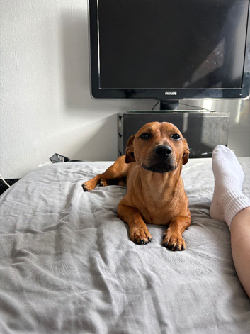 Rolo 7months