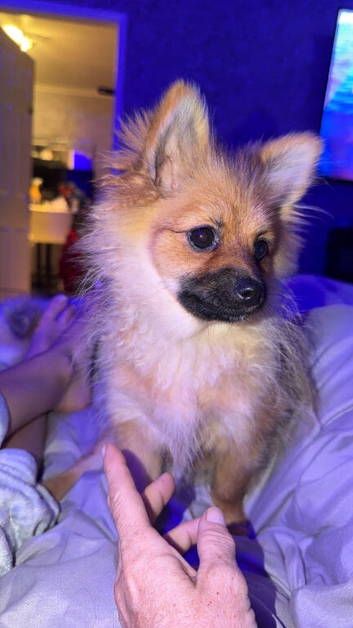 Winnie
