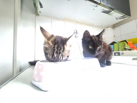 Brother and sister