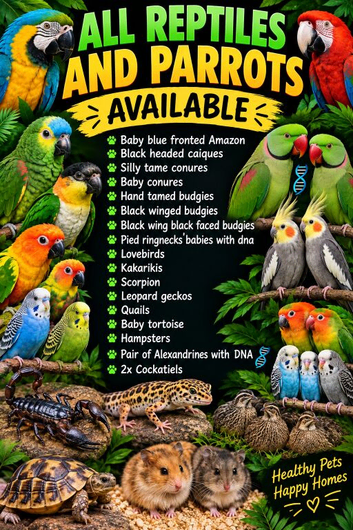 All available