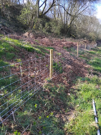 All aspects of fencing and tree work
