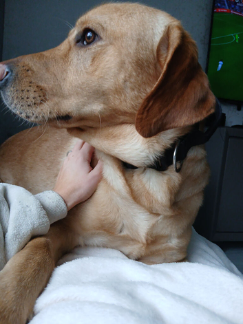 Lab cooper