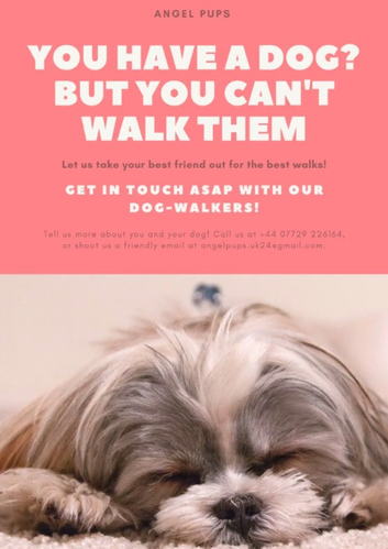 Dog walker and pet sitting