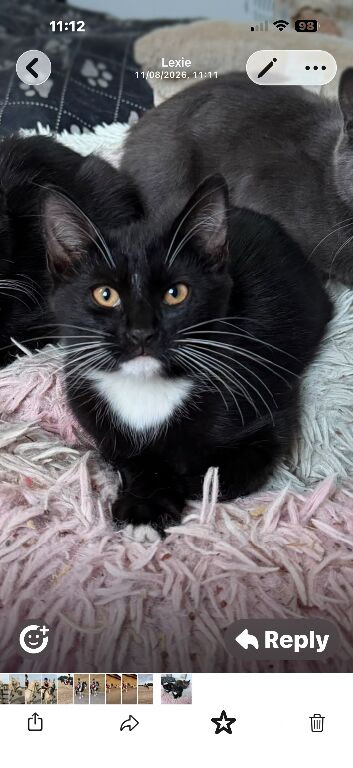 Last boy beautiful colour eyes