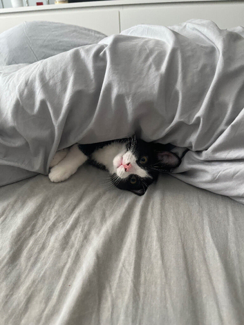 Black and white 2 year old