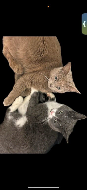 Mother and son to stay together