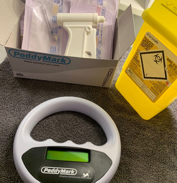 Pet microchipping - Pregnancy Scans