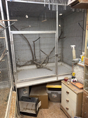 Parrot flight cages