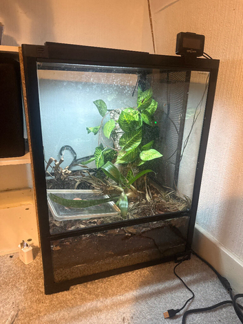 gecko cage and uvb light