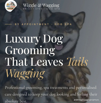 Dog grooming