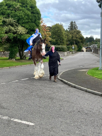 Sadly for sale...Buddy 18hh 9yo Registered Clydesdale by Carnaff Chancellor