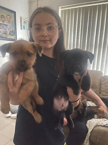 Pups