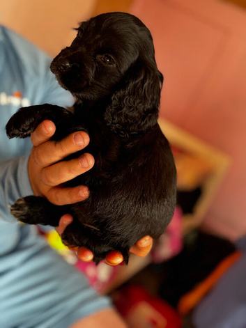 Missy ️