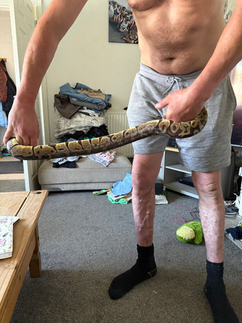 Full setup for sale big adult female