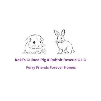 Keki's Guinea Pig Rescue