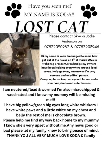 Please help find KODA