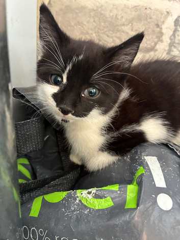 Beautiful girl ready to leave
