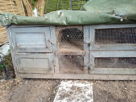 Double hutch Solid