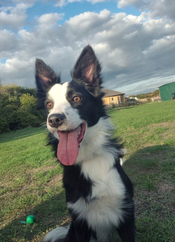 Lovely girl