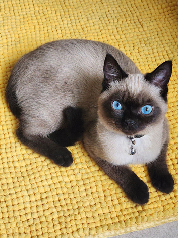 Fluffy