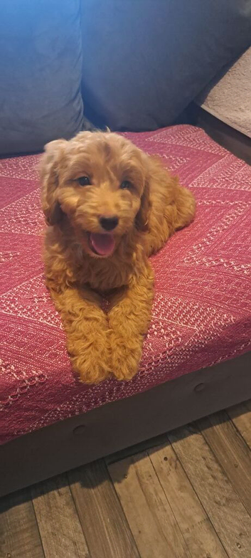 1 little baby girl