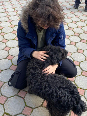 Pet Walking and Sitting (Exotic Pets Included)